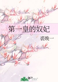 第一皇的奴妃